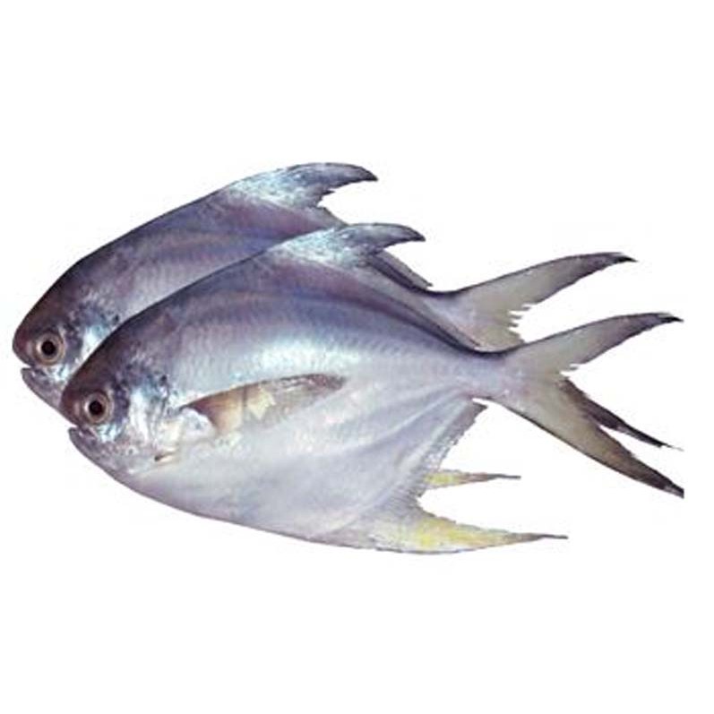Rupchanda Whole 4 LBS