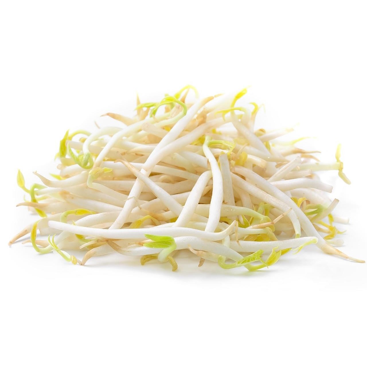 Moong Sprouts Big 1 LBS