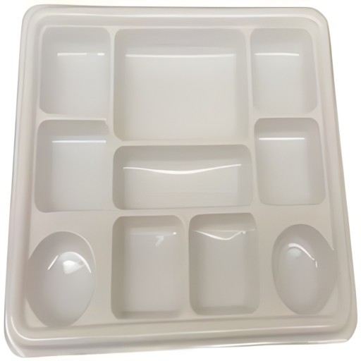 10 Compartment Plastic Plate 1 COUNT