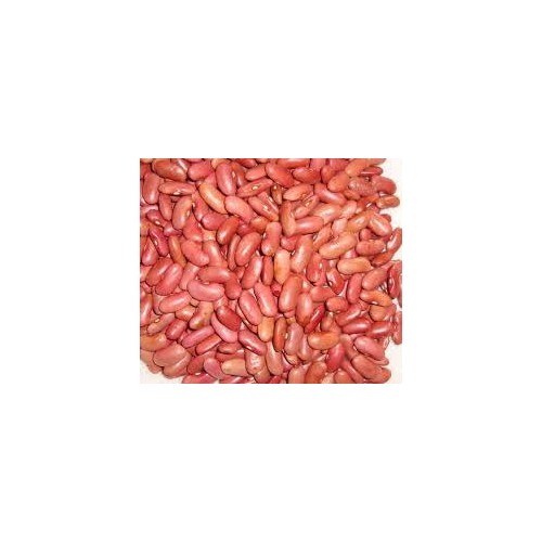 GM Light Red Kidney Beans 2 LBS