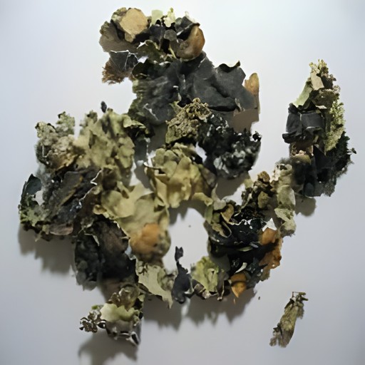 Shahjahan Dagad Phool 50 GM