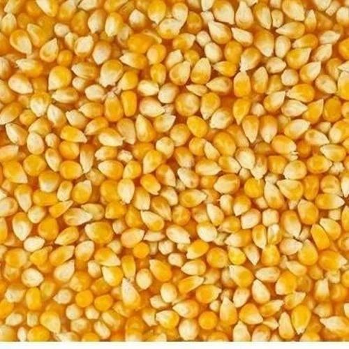 RAGHAV CORN FLOUR 2 LBS