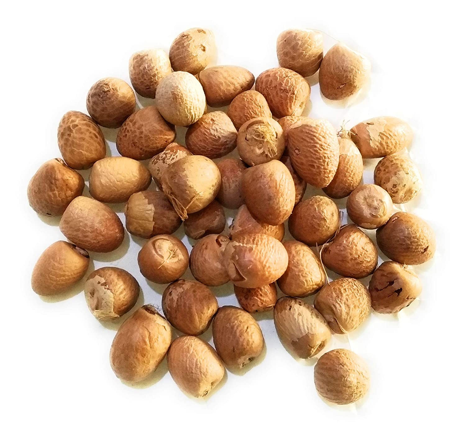POOJA NUTS WHOLE SMALL 100 GM
