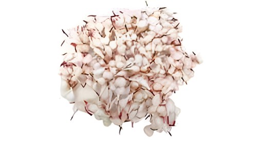 BHAKTI COTTON WICKS ROUND 1 PACK