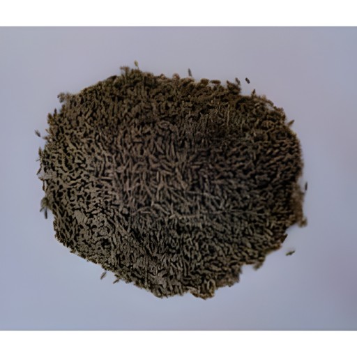 Cumin Seeds 14 OZ