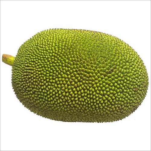 Baby Jackfruit 1 LBS