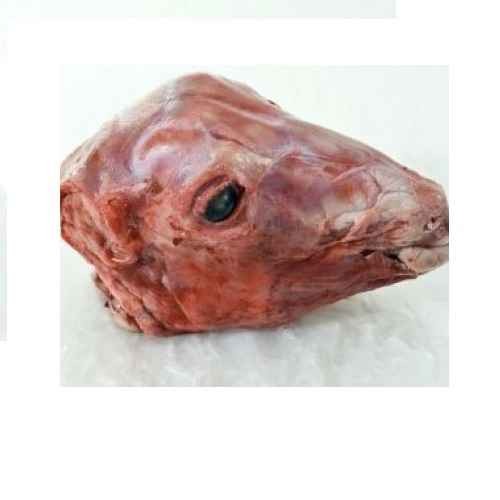 Halal Goat Head 1 LBS