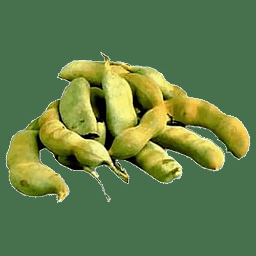 Green Tamarind (Raw) 1 LBS