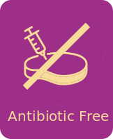 Antibiotic Free
