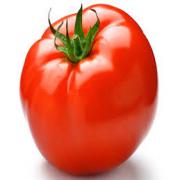 TOMATO   TOMATOES REG LG