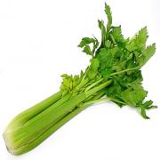 BUNCH CELERY