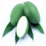 GREEN MANGO