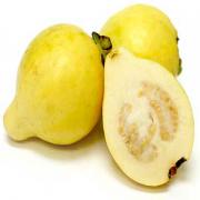 YELLOW GUAVA
