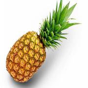 PINEAPPLE LarGe