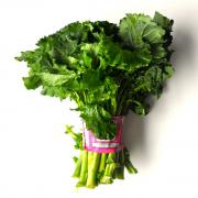 RAPINI