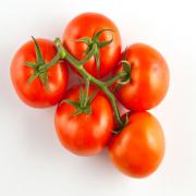 TOMATO   TOMATOES ON VINE