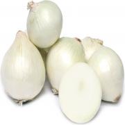 ONIONS   WHITE ONIONS