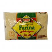 ZIYAD FARINA