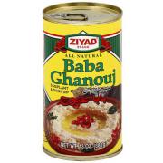 ZIYAD BABA GHANOUJ