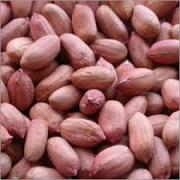 PEANUTS   RAW PEANUTS