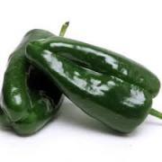 PEPPER   POBLANO PEPPER