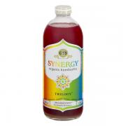 GTs Synergy Organic Kombucha Trilogy