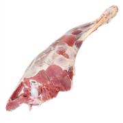 Halal Baby Goat Leg
