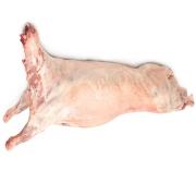 Halal Baby Lamb