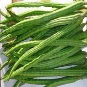 FRESH DRUMSTICKS