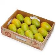 KESAR MANGO BOX