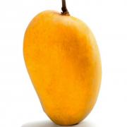 ALPHONSO MANGO SINGLE