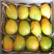 ALPHONSO MANGO BOX