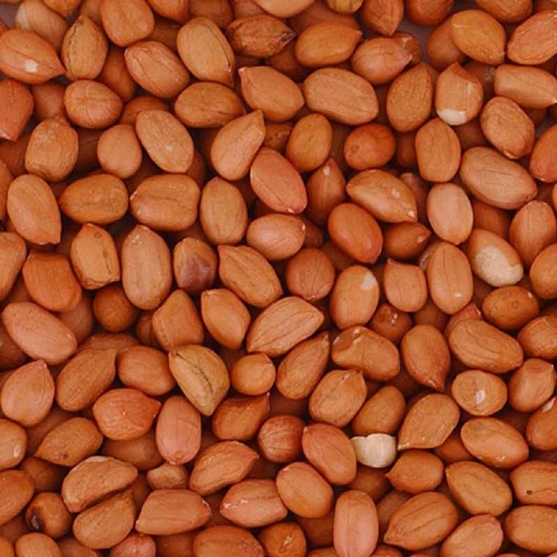 NIRAV RAW PEANUT