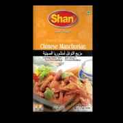 SHAN MANCHURIAN MASALA
