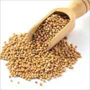 YELLOW MUSTARD