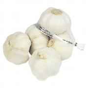 NET GARLIC