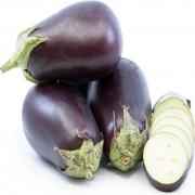 EGGPLANT AMERICAN