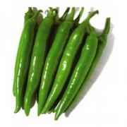 LONG CHILLI