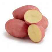 POTATO RED