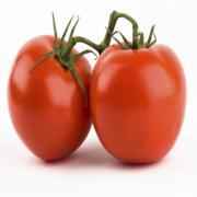 TOMATO REGULAR