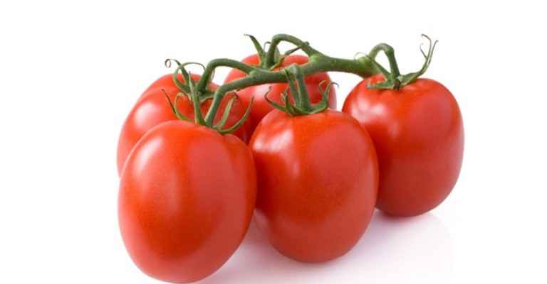 TOMATO ROMA