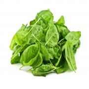 Spinach Cello Bag