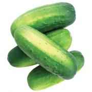 Pickle Cucumber