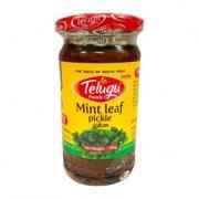 TELUGU PICKLE MINT LEAF