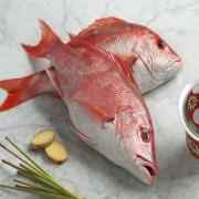 RED SNAPPER (Approx 3 Lbs)