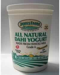 JF ALL NATURAL DAHI YOGURT
