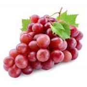RED GRAPES