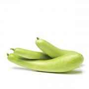 Bottle Gourd