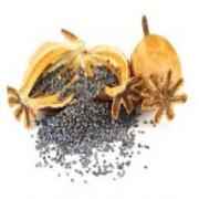 Poppy Seeds