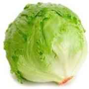 FRESH HEAD LETTUCE